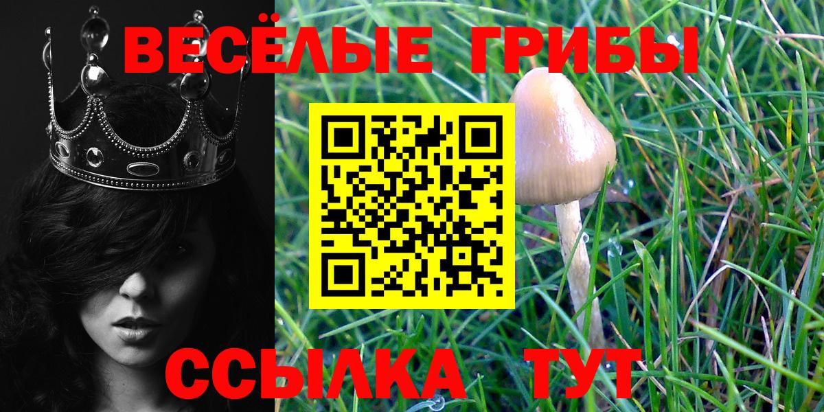 Галлюциногенные грибы Psilocybine cubensis Подольск