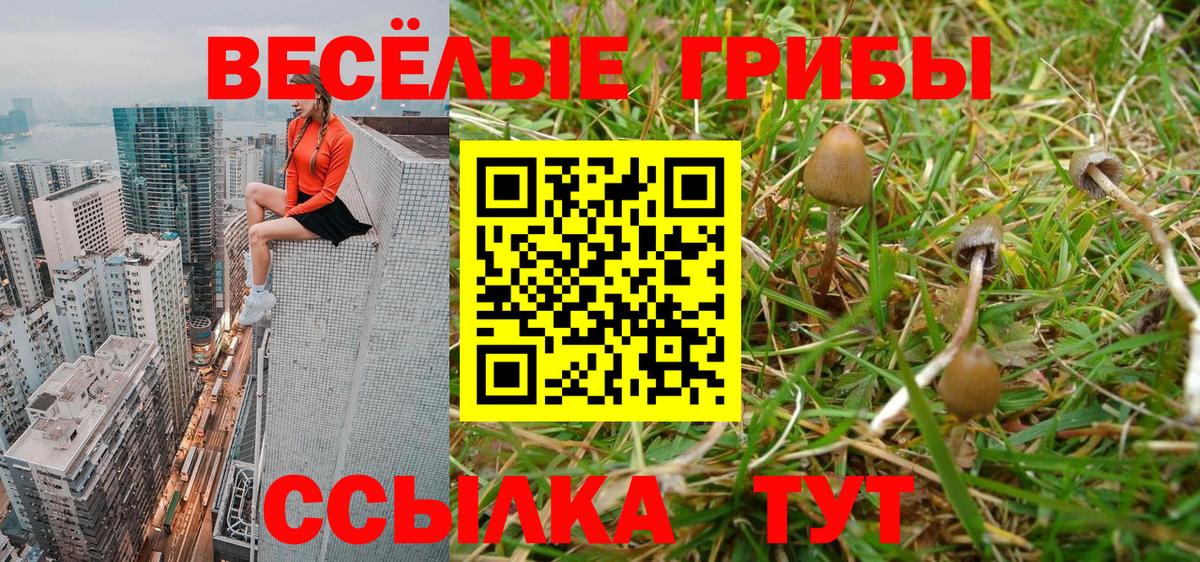 Подольск  Вход с VPN  Метамфетамин  COCAIN  МЕФ   ЭКСТАЗИ  МАРИХУАНА  Гашиш 